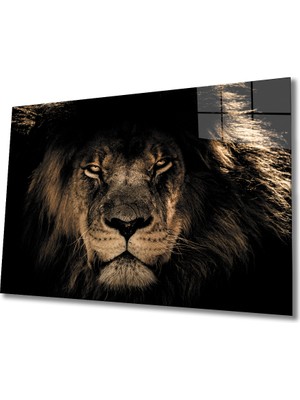 Bay Çağrı Aslan 14 Cam Tablo