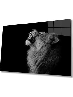 Bay Çağrı Aslan Hayvan Cam Tablo 4mm Dayanıklı Temperli Cam