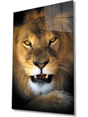 Bay Çağrı Aslan 15 Hayvan Cam Tablo