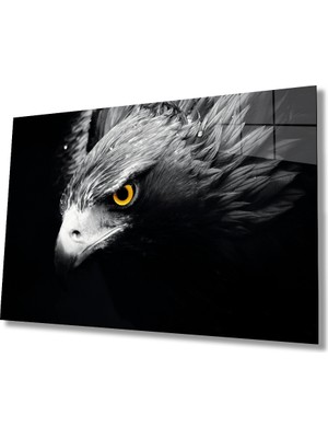 Bay Çağrı Kartal 4 Hayvan Cam Tablo