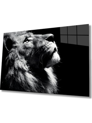 Bay Çağrı Aslan 16 Hayvan Cam Tablo