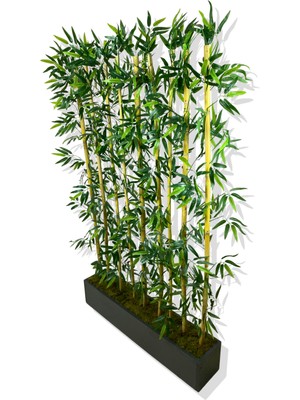 Bambu Seperatör 200 cm 9 Adet Bambu 100 cm Antrasit Saksı