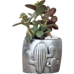 Mini Çiçek Saksısı Küçük Sukulent Gümüş Eskitme Kaktüs Desenli Model