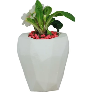 Çiçek Saksısı Beyaz Beton Saksı Büyük Boy Model Uzun Poly