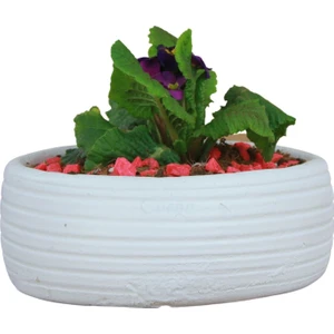 Çiçek Saksısı Beyaz Büyük Beton Saksı Model4