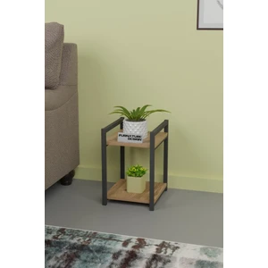 Furnature Design Metal Ahşap Dekoratif Çok Amaçlı Raf 2 Katlı Banyo Mutfak Rafı Çiçeklik Organizer Atlantik Çam