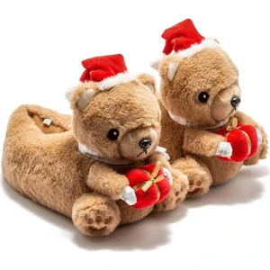 CC0627 Z Tw Regalo Kadın Panduf