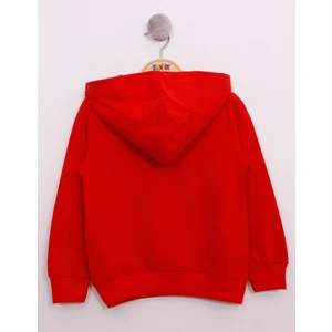 Toontoy Kids Toontoy Erkek Çocuk Pullu U.s.a Bayraklı Nakışlı Sweatshirt