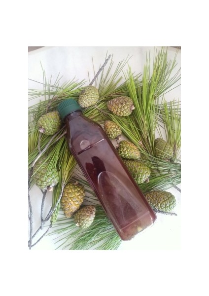 Çam Kozalağı Şurubu 650 ml