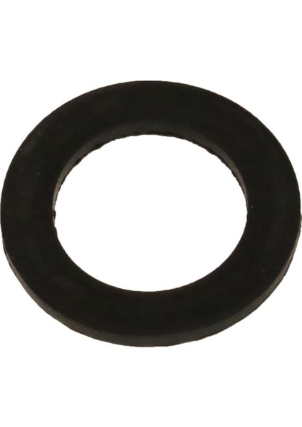 Su Motoru Hortum Rekor Contası 1" Palmera QGZ25-30A 2 Zamanlı