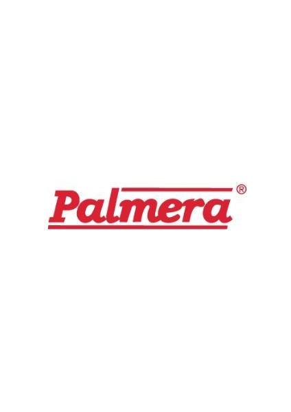 Su Motoru Hortum Rekor Contası 1" Palmera QGZ25-30A 2 Zamanlı