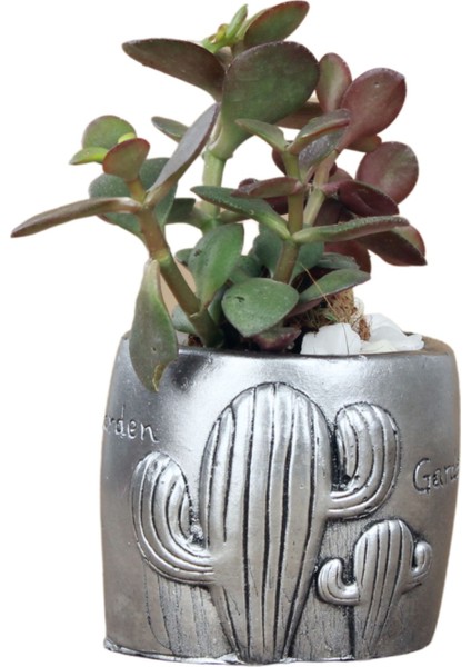 Mini Çiçek Saksısı Küçük Sukulent Gümüş Eskitme Kaktüs Desenli Model