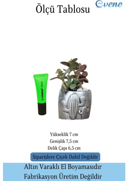 Mini Çiçek Saksısı Küçük Sukulent Gümüş Eskitme Kaktüs Desenli Model fiyatları