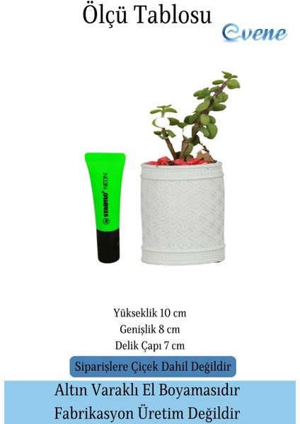 Saksı Kaktüs Saksısı Dekoratif Saksı Model Y fiyatları