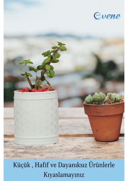 Saksı Kaktüs Saksısı Dekoratif Saksı Model Y modelleri