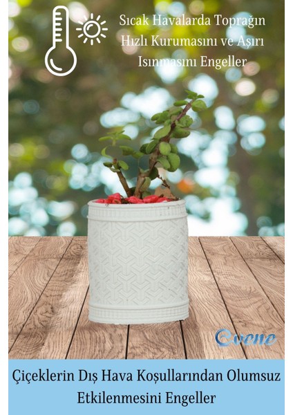 Saksı Kaktüs Saksısı Dekoratif Saksı Model Y fırsatları