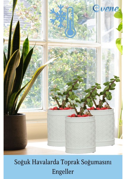 Saksı Kaktüs Saksısı Dekoratif Saksı Model Y indirimleri