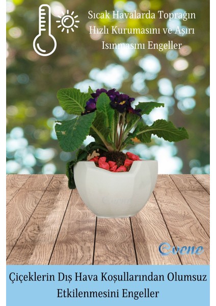 Çiçek Saksısı Beyaz Beton Saksı Model Önü Açık fırsatları