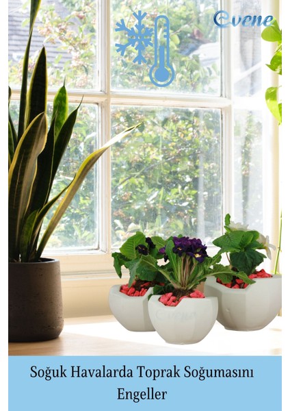 Çiçek Saksısı Beyaz Beton Saksı Model Önü Açık indirimleri