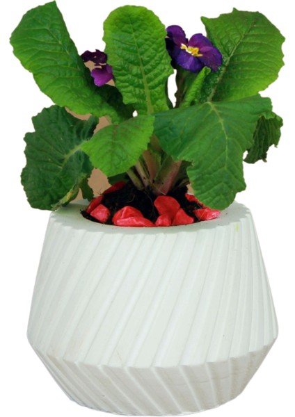 Çiçek Saksısı Beyaz Beton Saksı Model Dişli