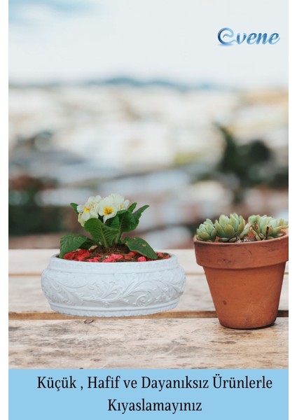 Çiçek Saksısı Beyaz Büyük Beton Saksı Model5 modelleri