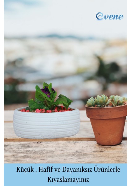 Çiçek Saksısı Beyaz Büyük Beton Saksı Model4 modelleri