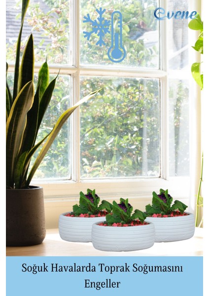 Çiçek Saksısı Beyaz Büyük Beton Saksı Model4 indirimleri