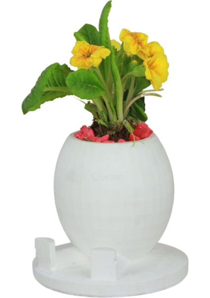 Çiçek Saksısı Beyaz Beton Saksı Model Saksı1