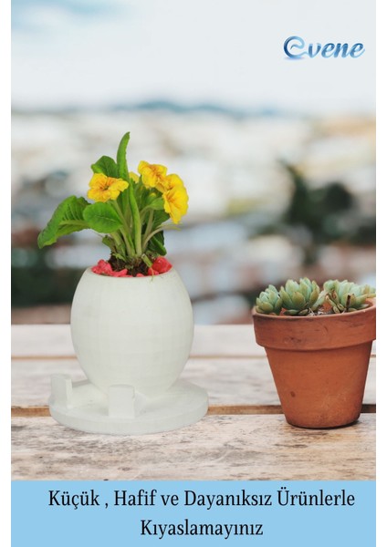 Çiçek Saksısı Beyaz Beton Saksı Model Saksı1 modelleri