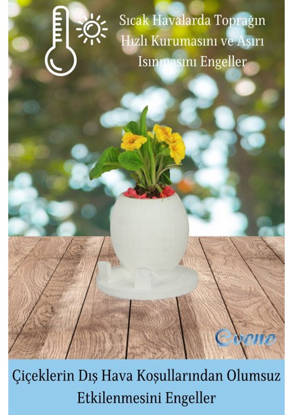 Çiçek Saksısı Beyaz Beton Saksı Model Saksı1 fırsatları