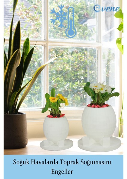 Çiçek Saksısı Beyaz Beton Saksı Model Saksı1 indirimleri