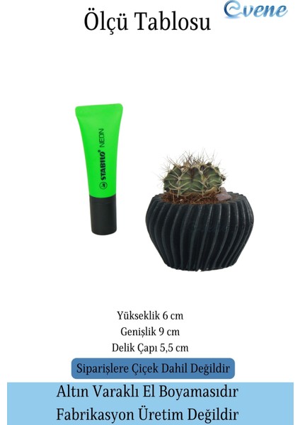 Mini Çiçek Saksısı Küçük Sukulent Siyah Kaktüs Saksı Derin Çizgili Model