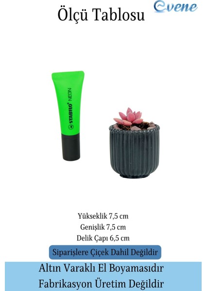 Mini Çiçek Saksısı Küçük Sukulent Siyah Kaktüs Saksı Vintage Düz Çizgili Model fiyatları