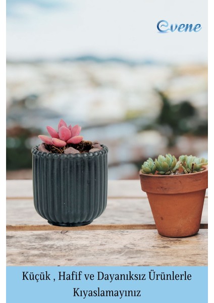 Mini Çiçek Saksısı Küçük Sukulent Siyah Kaktüs Saksı Vintage Düz Çizgili Model modelleri