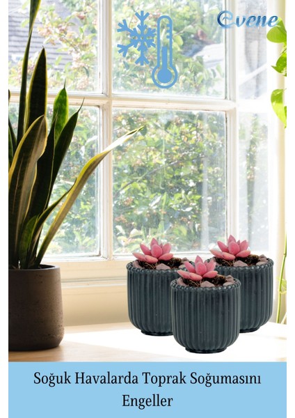 Mini Çiçek Saksısı Küçük Sukulent Siyah Kaktüs Saksı Vintage Düz Çizgili Model indirimleri