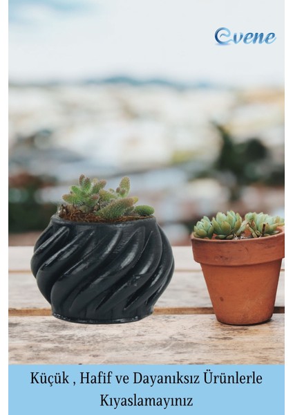 Mini Çiçek Saksısı Küçük Sukulent Siyah Kaktüs Saksı Kalın Çizgili Spiral Model modelleri