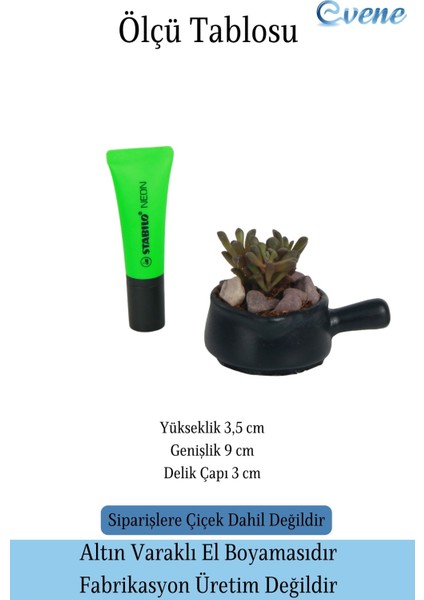 Mini Çiçek Saksısı Küçük Sukulent Siyah Kaktüs Saksı Tava Model