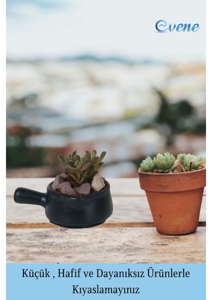 Mini Çiçek Saksısı Küçük Sukulent Siyah Kaktüs Saksı Tava Model