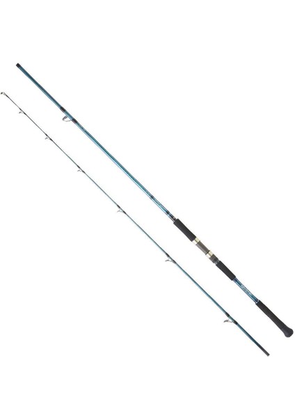 Grandwave 2.90M 28-84GR 2p Shore Jig Olta Kamışı