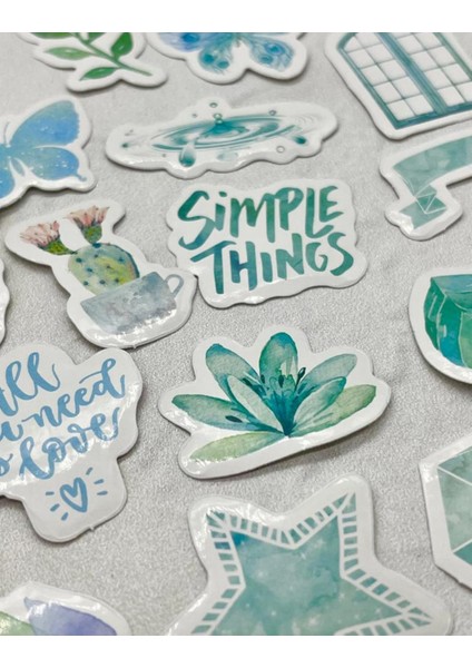 Doğa Temalı Mavi Kutu Sticker / Bullet Journal / Defter Süsleme/ Çıkartma modelleri