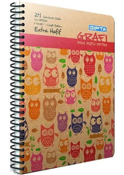 Gıpta Grafi 17 x 24 cm 120 Yaprak 2 + 1 Sert Kapaklı Defter