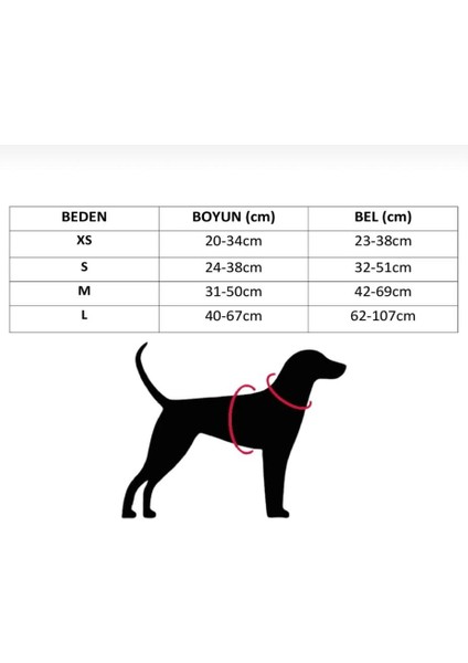 Köpek Göğüs Tasması Ayarlanabilir