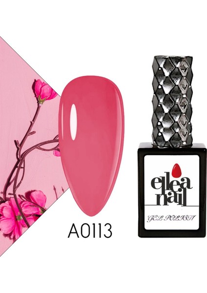 Kalıcı Oje A0113 fiyatları