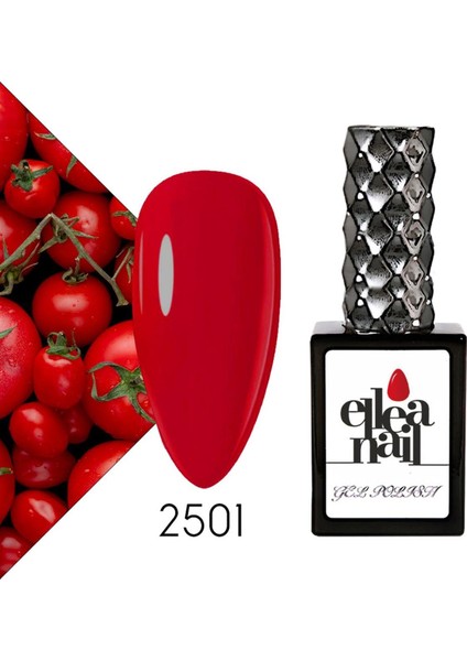 Kalıcı Oje 2501 fiyatları