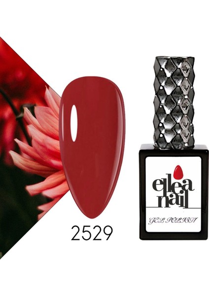 Kalıcı Oje 2529 fiyatları