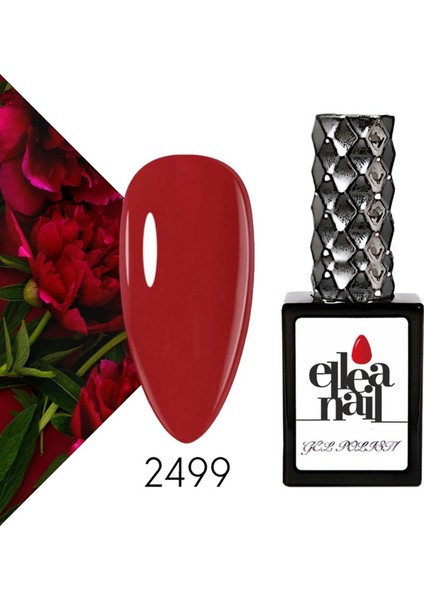 Kalıcı Oje 2499