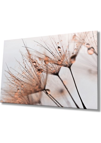 Kahverengi Karahindiba Cam Tablo