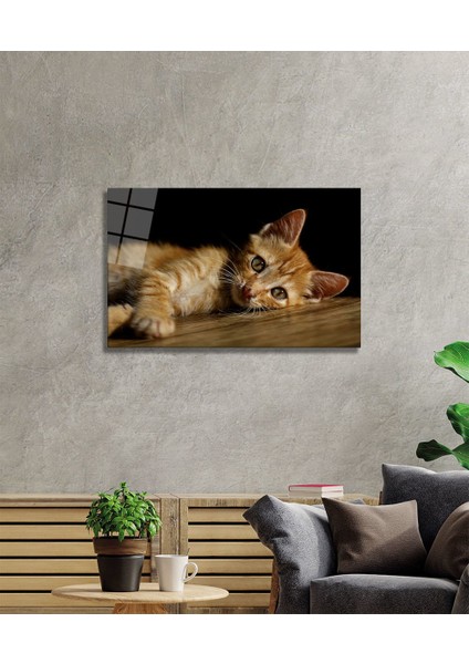 Kedi 4 Cam Tablo fiyatları