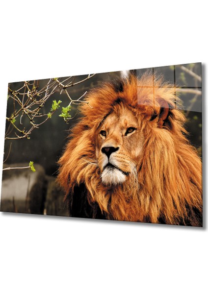 Aslan 3 Cam Tablo