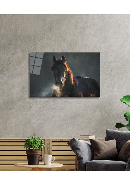 At 1 Cam Tablo fiyatları